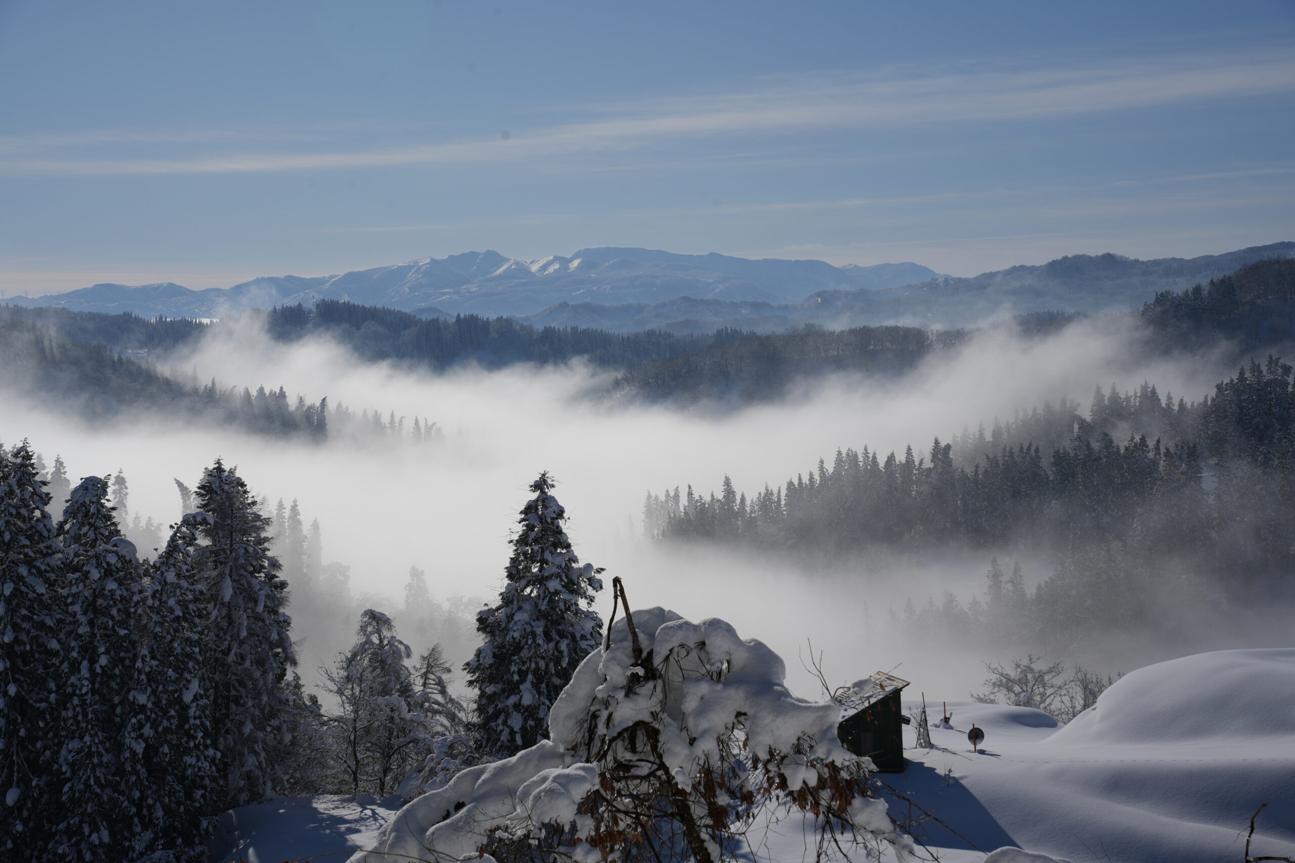 十日町市の雲海